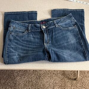 Wrangler Women's Blue Jeans